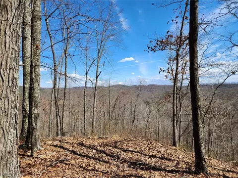 Progress Ridge Road, Walker, WV 26180
