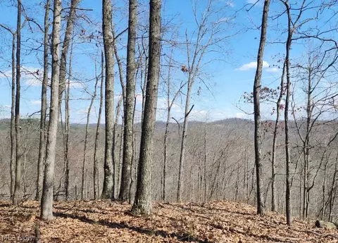 Progress Ridge Road, Walker, WV 26180 photo 3