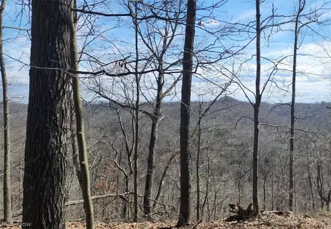 Progress Ridge Road, Walker, WV 26180 photo 4