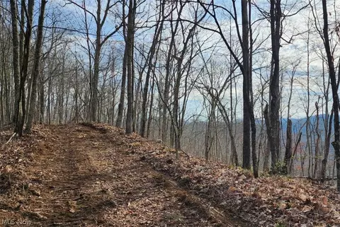 Progress Ridge Road, Walker, WV 26180 photo 6