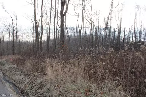 Lander Road Tr 207, Malvern, OH 44644