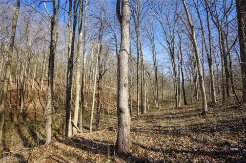 York Rd, Adena, OH 43907 photo 25