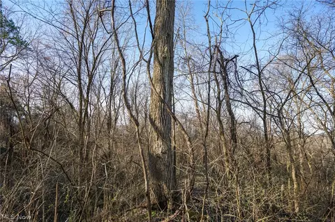York Rd, Adena, OH 43907 photo 4