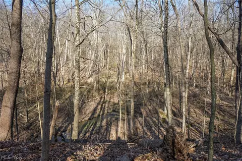 York Rd, Adena, OH 43907 photo 14