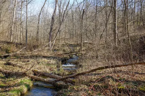 York Rd, Adena, OH 43907 photo 35