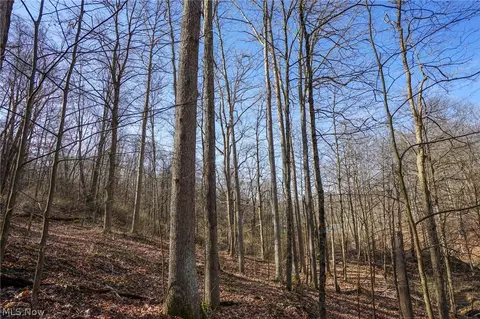 York Rd, Adena, OH 43907 photo 29