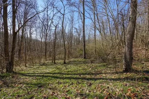York Rd, Adena, OH 43907 photo 39