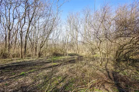 York Rd, Adena, OH 43907 photo 43