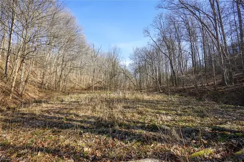 York Rd, Adena, OH 43907 photo 31