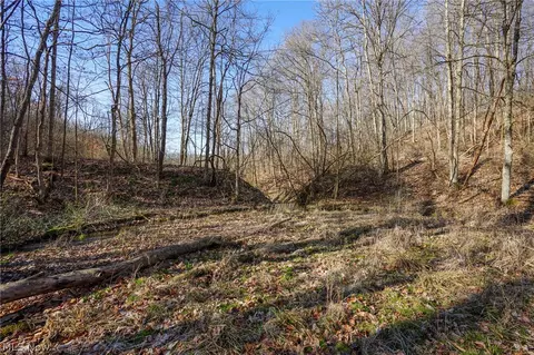 York Rd, Adena, OH 43907 photo 30