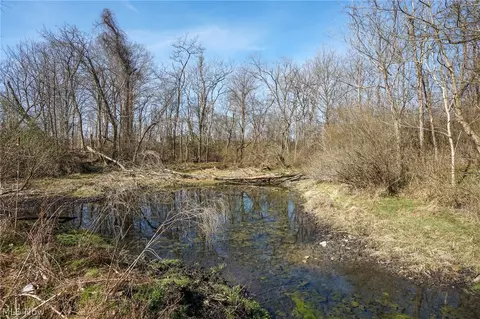 York Rd, Adena, OH 43907 photo 45