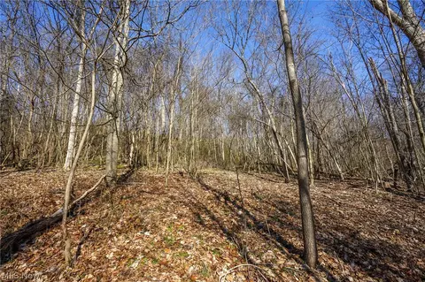 York Rd, Adena, OH 43907 photo 37