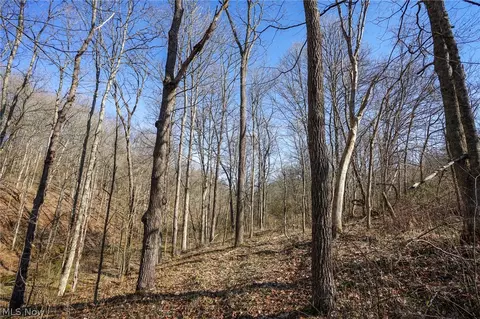York Rd, Adena, OH 43907 photo 24