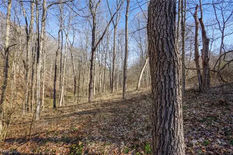 York Rd, Adena, OH 43907 photo 23