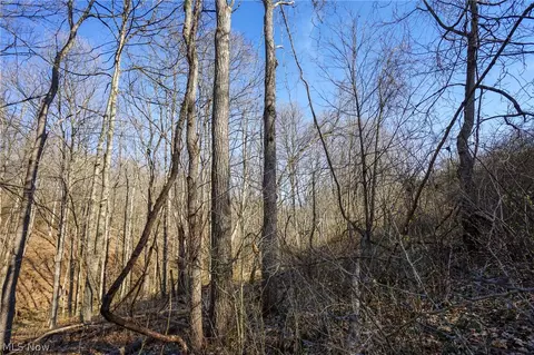 York Rd, Adena, OH 43907 photo 21