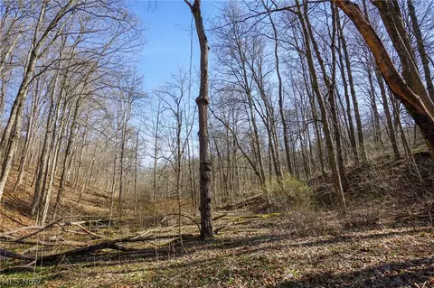 York Rd, Adena, OH 43907 photo 34