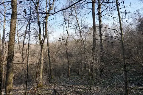 York Rd, Adena, OH 43907 photo 6