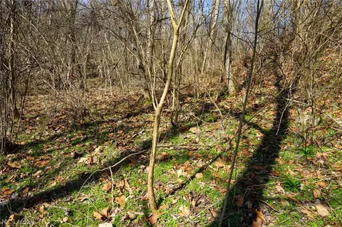 York Rd, Adena, OH 43907 photo 38