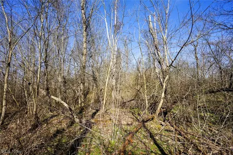York Rd, Adena, OH 43907 photo 47
