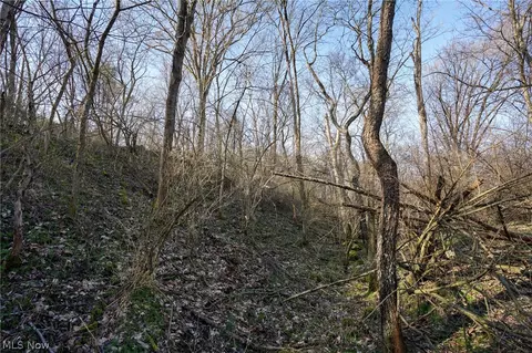 York Rd, Adena, OH 43907 photo 5