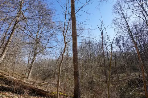 York Rd, Adena, OH 43907 photo 36