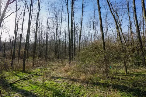 York Rd, Adena, OH 43907 photo 2