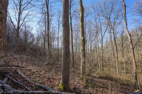 York Rd, Adena, OH 43907 photo 22