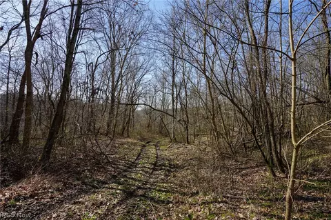 York Rd, Adena, OH 43907 photo 46