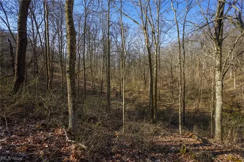 York Rd, Adena, OH 43907 photo 15