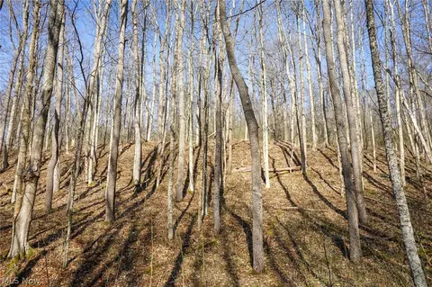 York Rd, Adena, OH 43907 photo 33