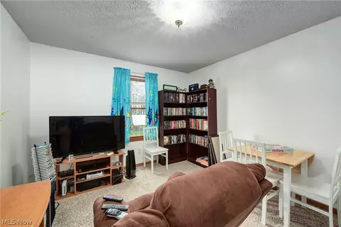 233 Forest Park Dr, Lagrange, OH 44050 photo 29