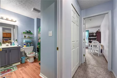 233 Forest Park Dr, Lagrange, OH 44050 photo 33