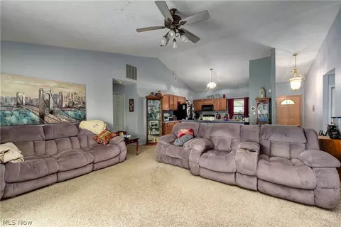 233 Forest Park Dr, Lagrange, OH 44050 photo 14