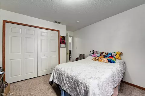 233 Forest Park Dr, Lagrange, OH 44050 photo 32