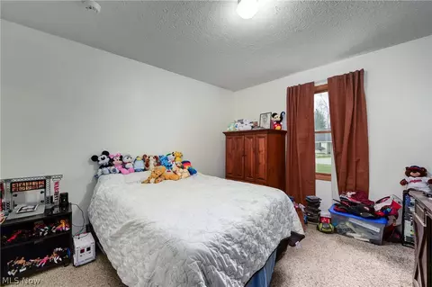 233 Forest Park Dr, Lagrange, OH 44050 photo 31