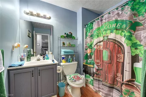 233 Forest Park Dr, Lagrange, OH 44050 photo 22