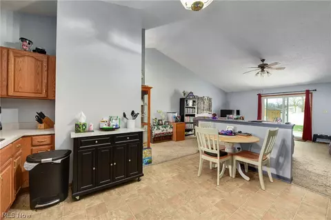 233 Forest Park Dr, Lagrange, OH 44050 photo 11