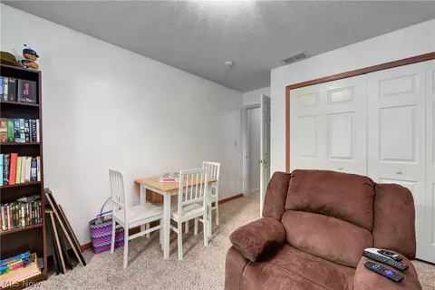 233 Forest Park Dr, Lagrange, OH 44050 photo 30