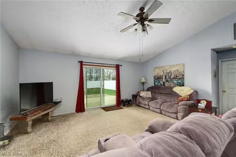 233 Forest Park Dr, Lagrange, OH 44050 photo 28