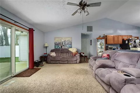 233 Forest Park Dr, Lagrange, OH 44050 photo 13