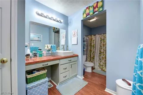 233 Forest Park Dr, Lagrange, OH 44050 photo 35
