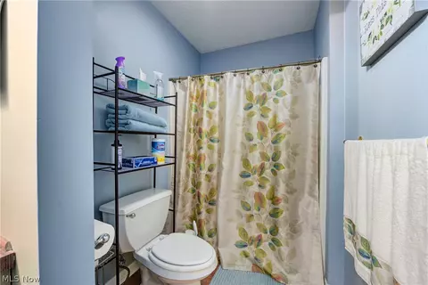 233 Forest Park Dr, Lagrange, OH 44050 photo 37