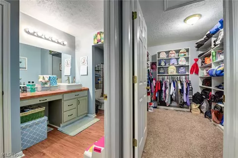 233 Forest Park Dr, Lagrange, OH 44050 photo 19