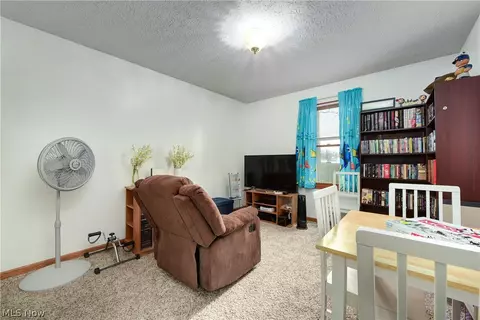 233 Forest Park Dr, Lagrange, OH 44050 photo 25