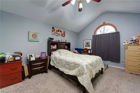 233 Forest Park Dr, Lagrange, OH 44050 photo 24