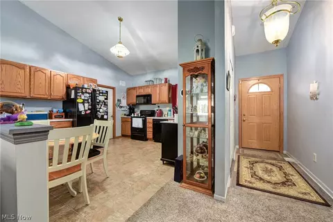 233 Forest Park Dr, Lagrange, OH 44050 photo 7