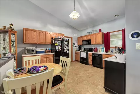 233 Forest Park Dr, Lagrange, OH 44050 photo 10