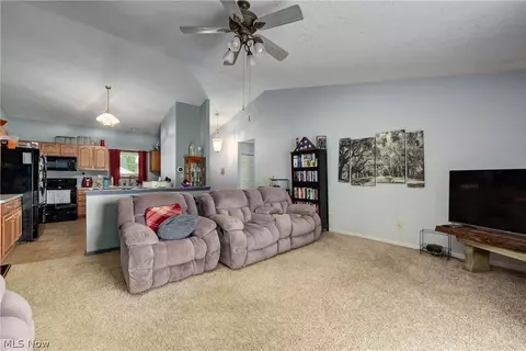 233 Forest Park Dr, Lagrange, OH 44050 photo 16