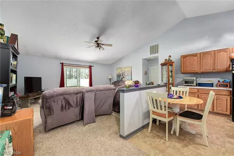 233 Forest Park Dr, Lagrange, OH 44050 photo 27