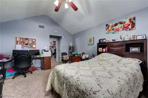 233 Forest Park Dr, Lagrange, OH 44050 photo 18